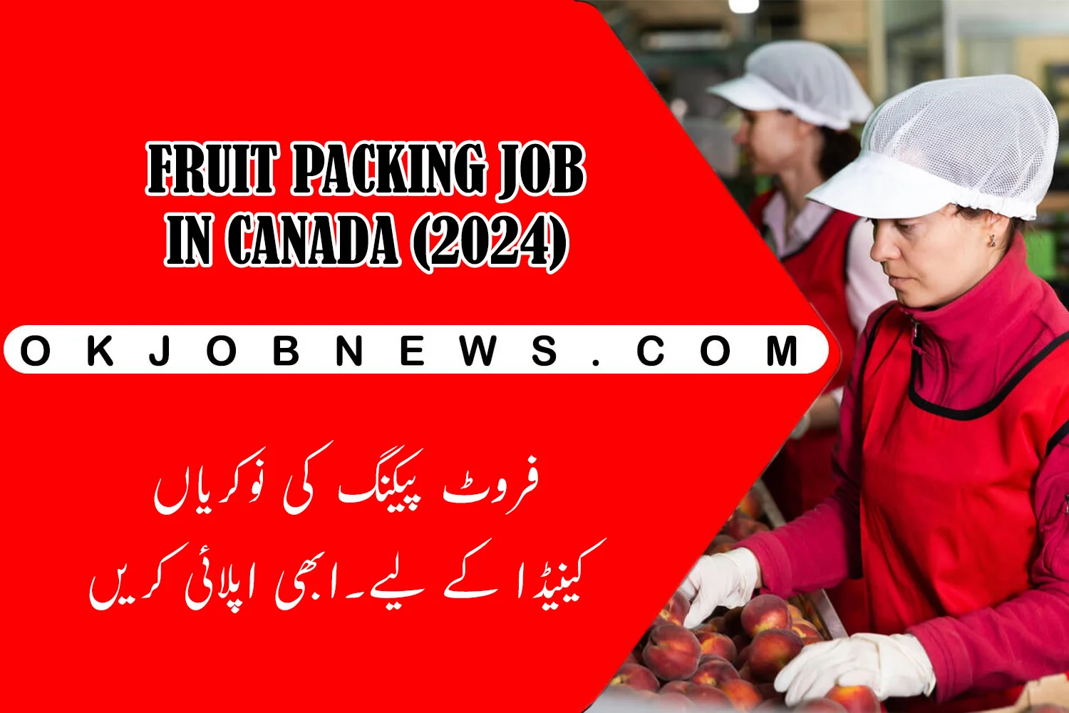 packing job in Canada for a free visa 2024