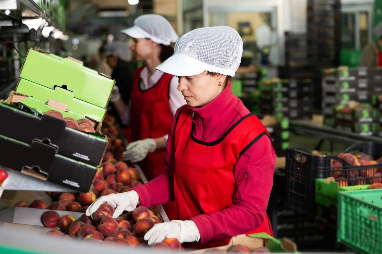 fruit packing job in canada free visa 2024